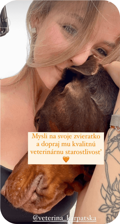 Vetcare result 3